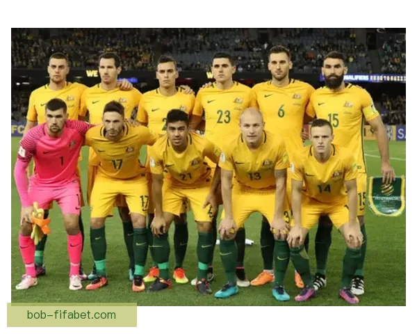 世界杯胜负预测指南 精准分析助你赢得竞猜投注大奖